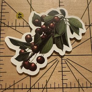 💜13/$13 +Bundle Sticker Sale | Foodie Cherries Waterproof Sticker